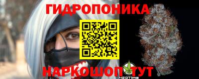 трава Новокубанск