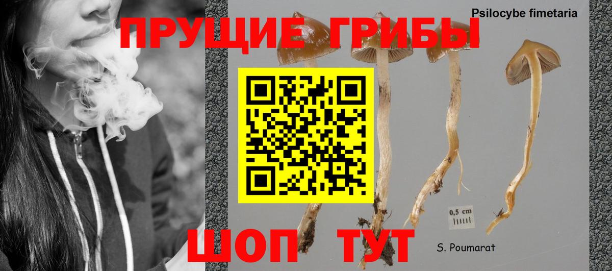 Галлюциногенные грибы ЛСД Тверь
